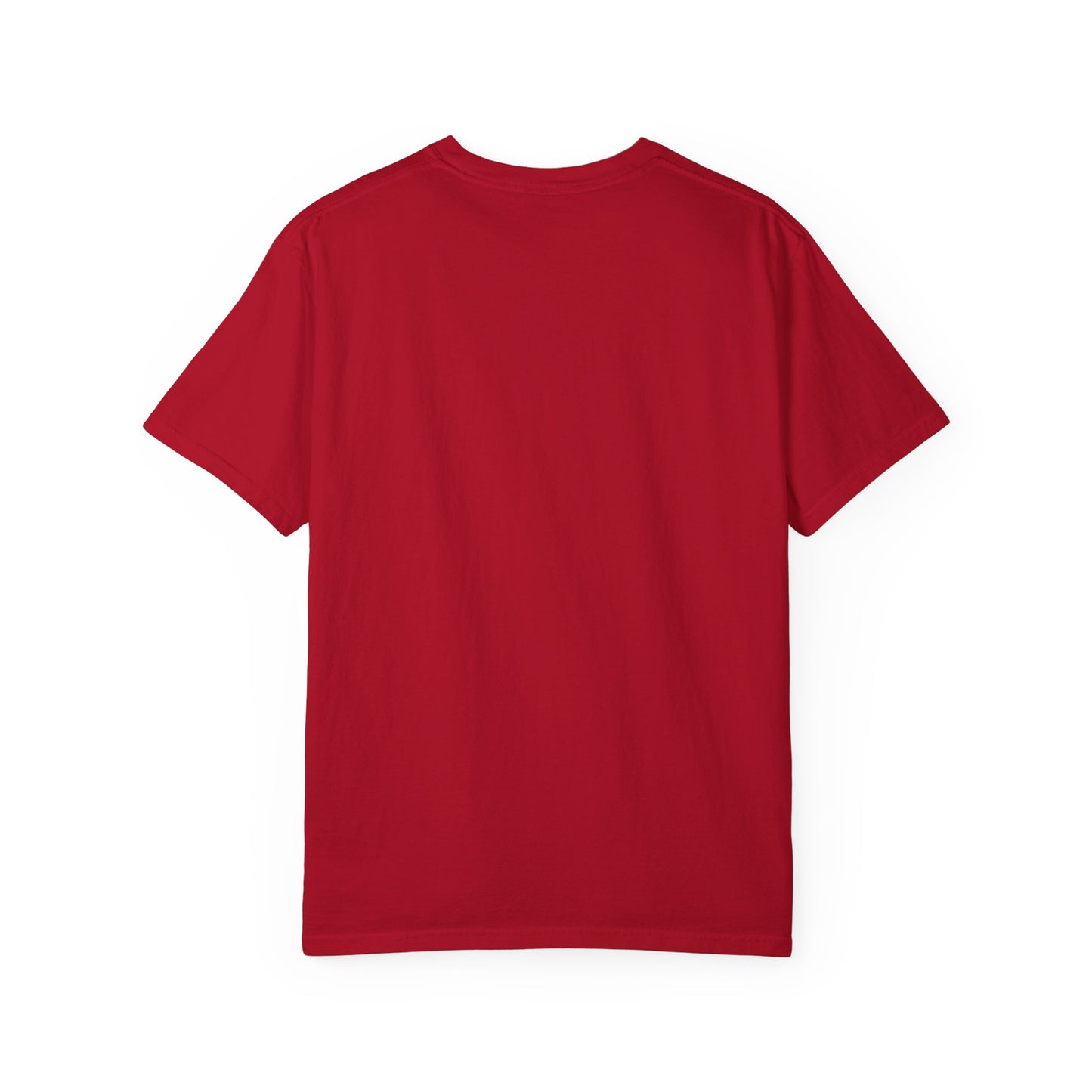 Legendary Detroit Clothing Company Brand Unisex T-shirt - Started In Detroit Clothing Co.